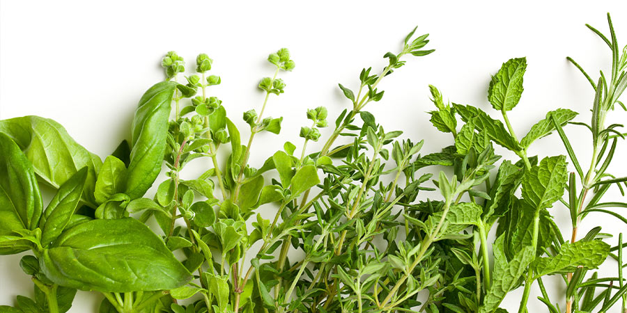 Image of Herbs - protected