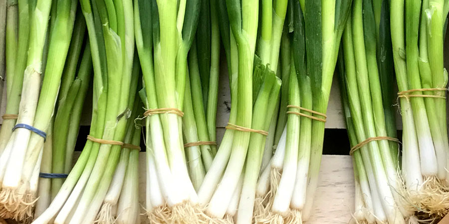 Image of Onions - salad